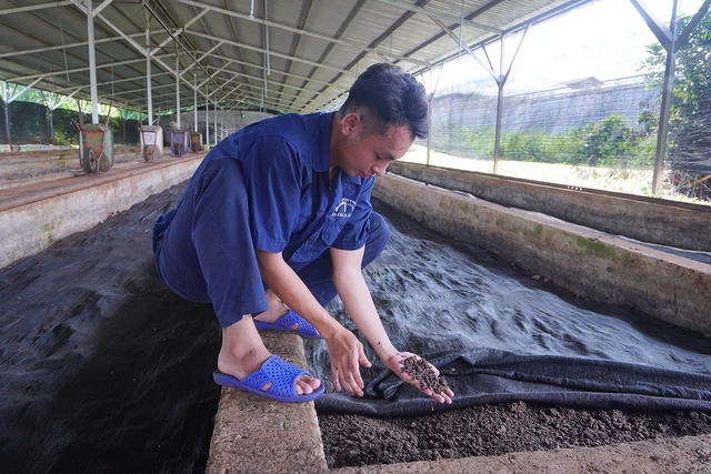 Hướng đi nông nghiệp xanh của các công ty cao su Việt Nam - Ảnh 3