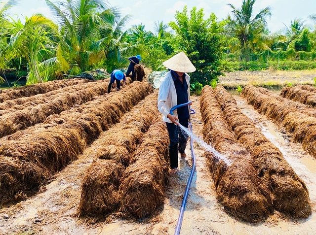 Từ 'gạo xanh' đến nông sản phát thải thấp - Ảnh 4