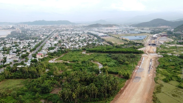 Khu thương mại tự do là 'thời cơ vàng cho Đà Nẵng bứt phá' - Ảnh 1