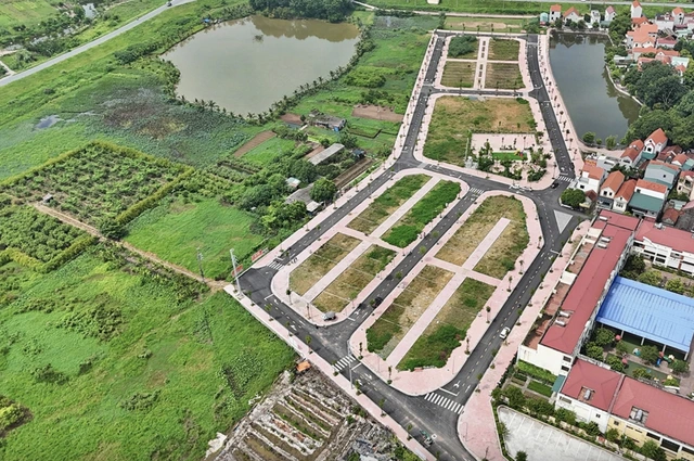 TP.HCM 'thích' căn hộ, Hà Nội 'nóng' đất nền - Ảnh 3