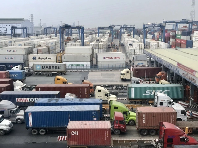 Chính phủ chỉ đạo khẩn trương chuẩn hóa các thủ tục xuất khẩu trước 31.7 - Ảnh 1