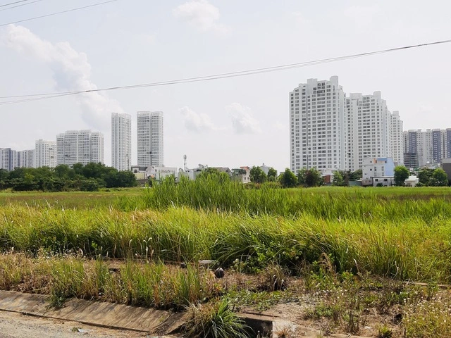 Dự án thỏa thuận 75%, phần còn lại nhà nước sẽ thu hồi đất giao cho chủ đầu tư - Ảnh 1