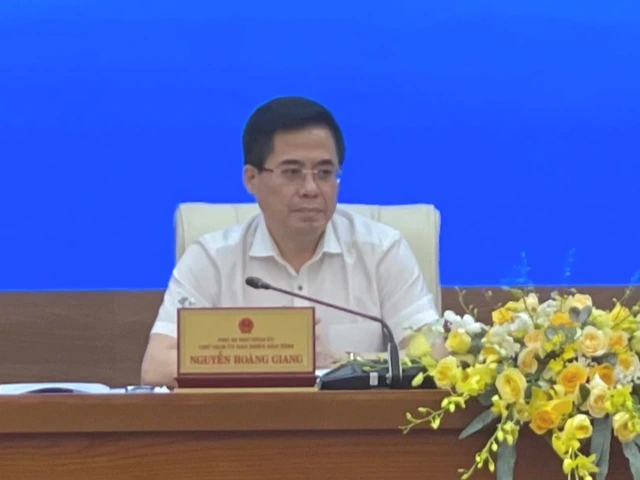 Quảng Ngãi tăng cường đối thoại, tháo gỡ khó khăn cho doanh nghiệp - Ảnh 1