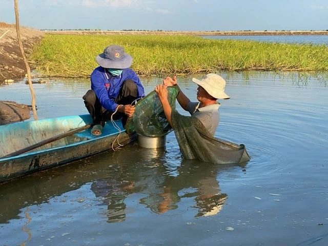 Mưa bão gia tăng, cảnh báo lũ sông Cửu Long lên nhanh vào cuối tháng 8 - Ảnh 1