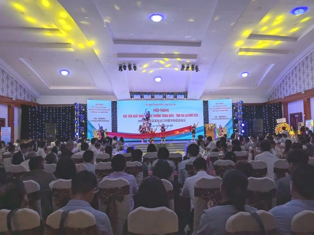 Gia Lai mở lối xuất khẩu nông sản tỉ đô sang thị trường Trung Quốc - Ảnh 1