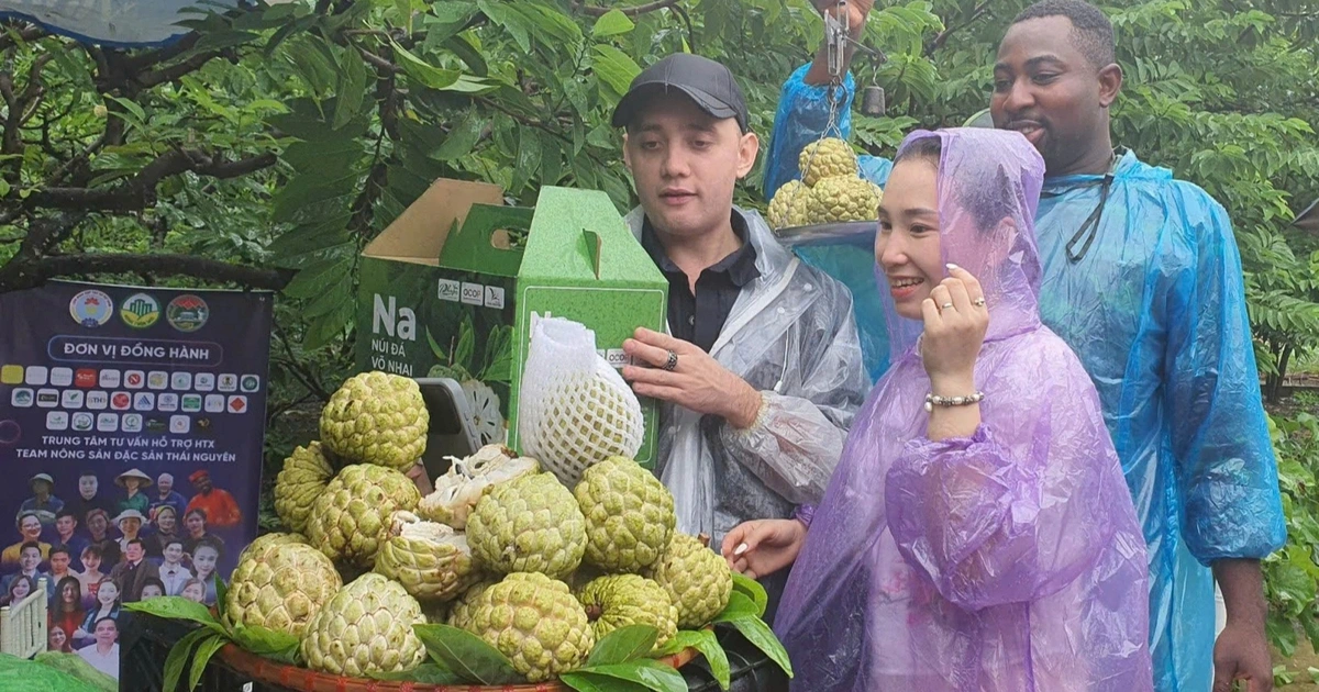 Từ vụ 'đại sứ' Phạm Thoại, có nên chọn KOL, KOC làm 'đại sứ nông sản'?