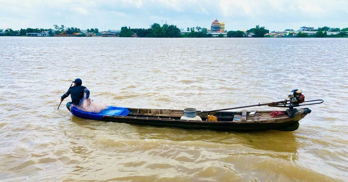 Nước lũ miền Tây tăng cao