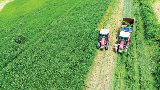 Vinamilk 'mở khóa tự nhiên' ở trang trại Green Farm để phát triển bền vững - Ảnh 4