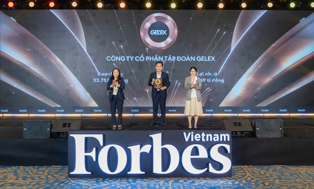 GELEX trở lại ấn tượng trong Top 50 Công ty niêm yết tốt nhất Việt Nam - Ảnh 2