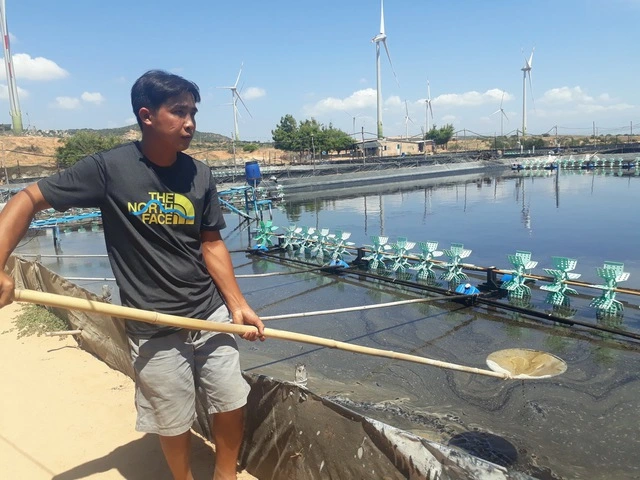 Khánh Hòa: Bứt phá kinh tế biển sau hợp nhất - Ảnh 5