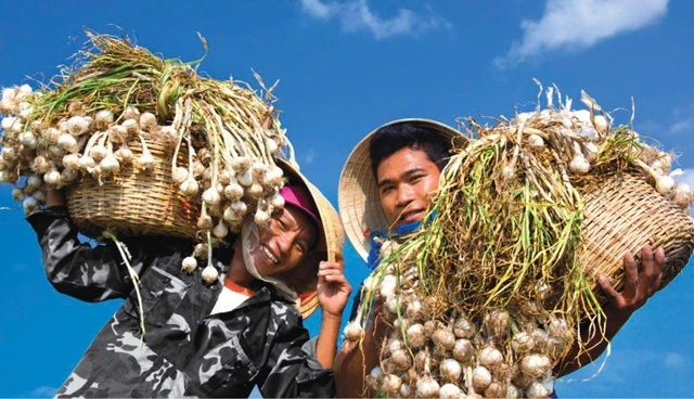 Khánh Hòa: Phát triển nông nghiệp theo hướng sạch, bền vững - Ảnh 4