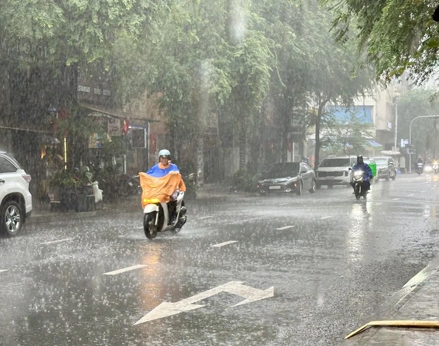 Sau bão số 5, Biển Đông sắp đón áp thấp nhiệt đới - Ảnh 1