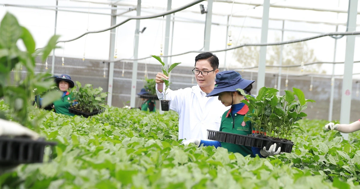 Gia Lai mở lối xuất khẩu nông sản tỉ đô sang thị trường Trung Quốc
