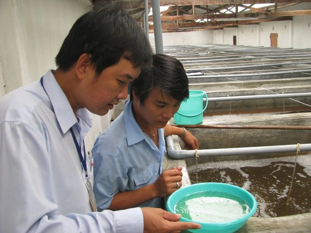 Đề nghị buôn vàng trang sức, phân bón không cần điều kiện kinh doanh - Ảnh 2