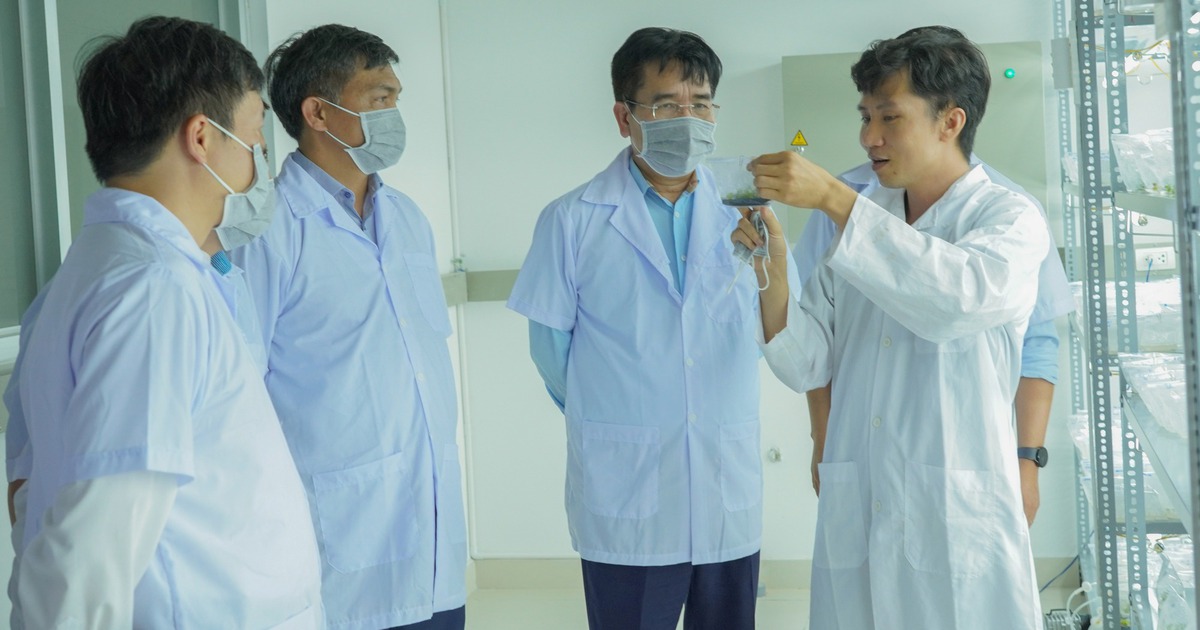 Phân bón Cà Mau đẩy mạnh hoạt động nghiên cứu, phát triển