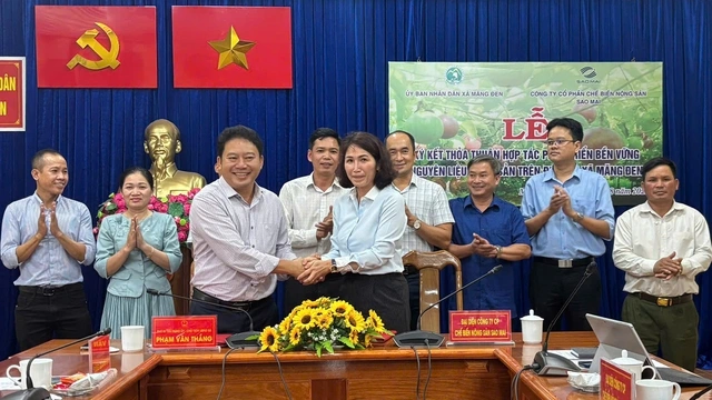 Măng Đen bắt tay doanh nghiệp kiến tạo vùng nguyên liệu xanh - Ảnh 1