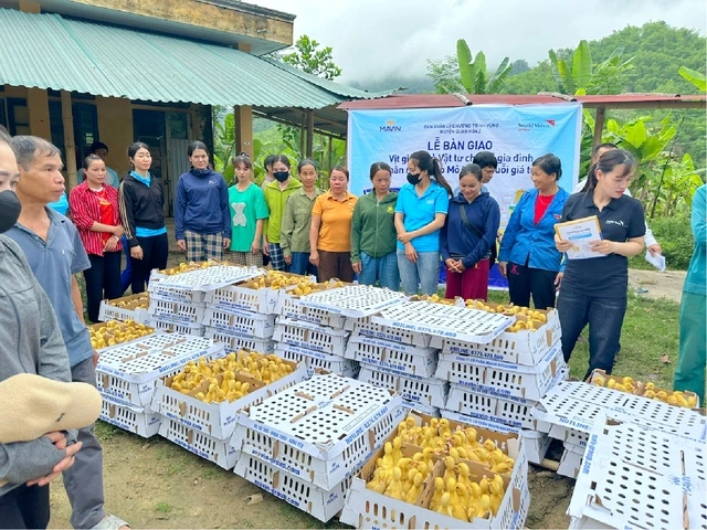 Mavin tiên phong chuẩn hóa ESG hướng đến nền nông nghiệp xanh - Ảnh 2