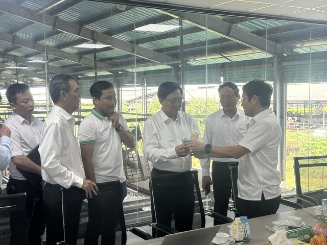 Nutifood đầu tư thêm 6.000 tỉ đồng cho trang trại bò sữa và nhà máy tại Gia Lai - Ảnh 1