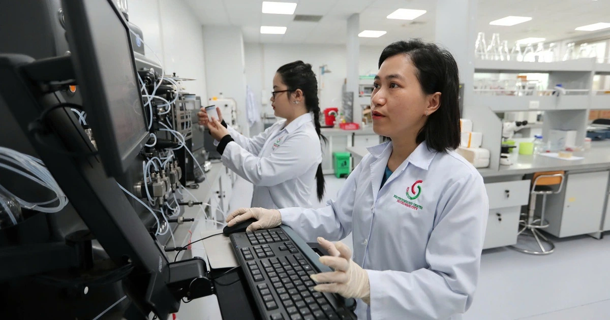 Từ 'biển bạc' đến trí tuệ vàng: Con đường để Tổ quốc vươn mình