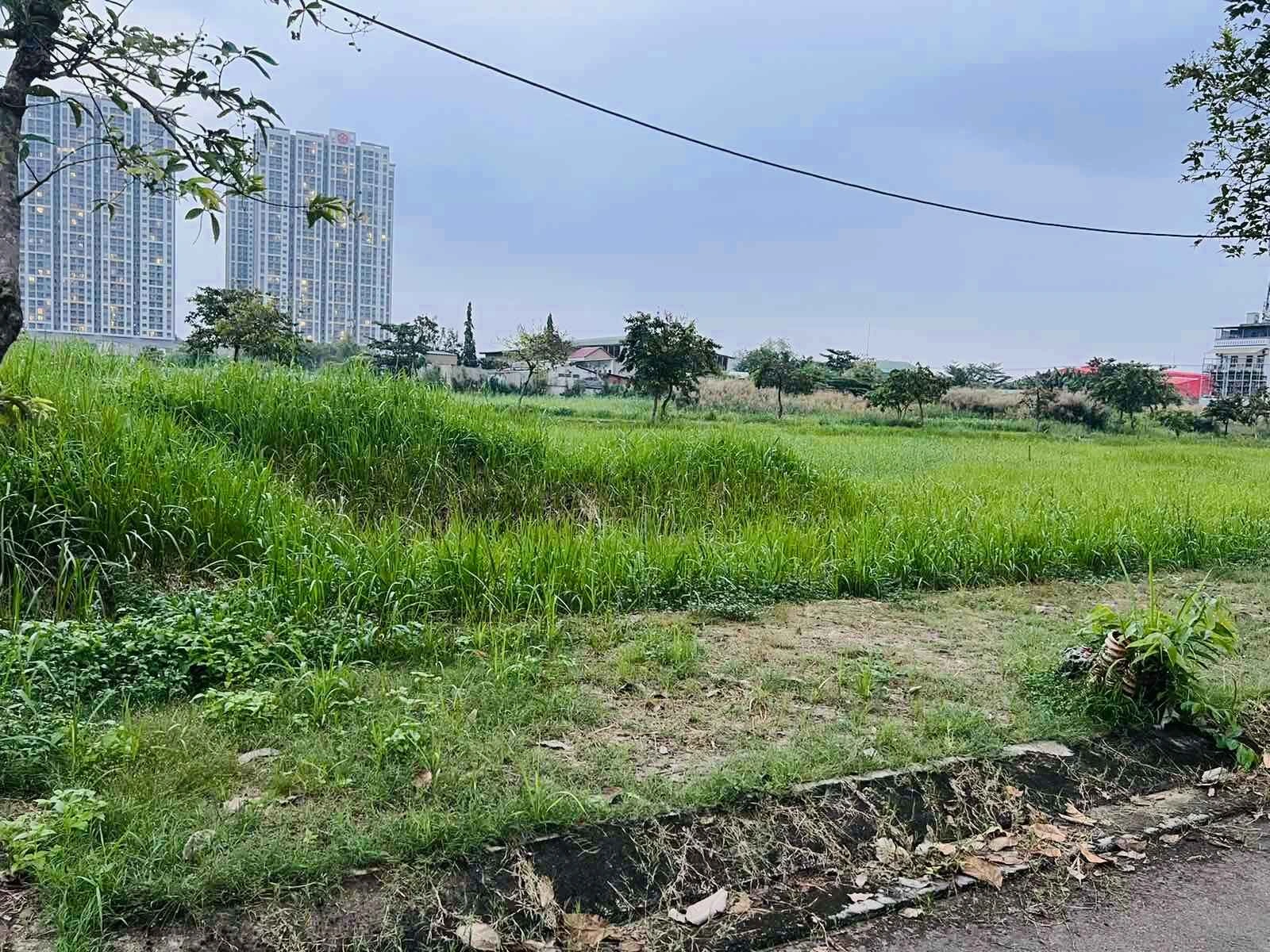 Đẩy nhanh định giá đất cho doanh nghiệp - Ảnh 1