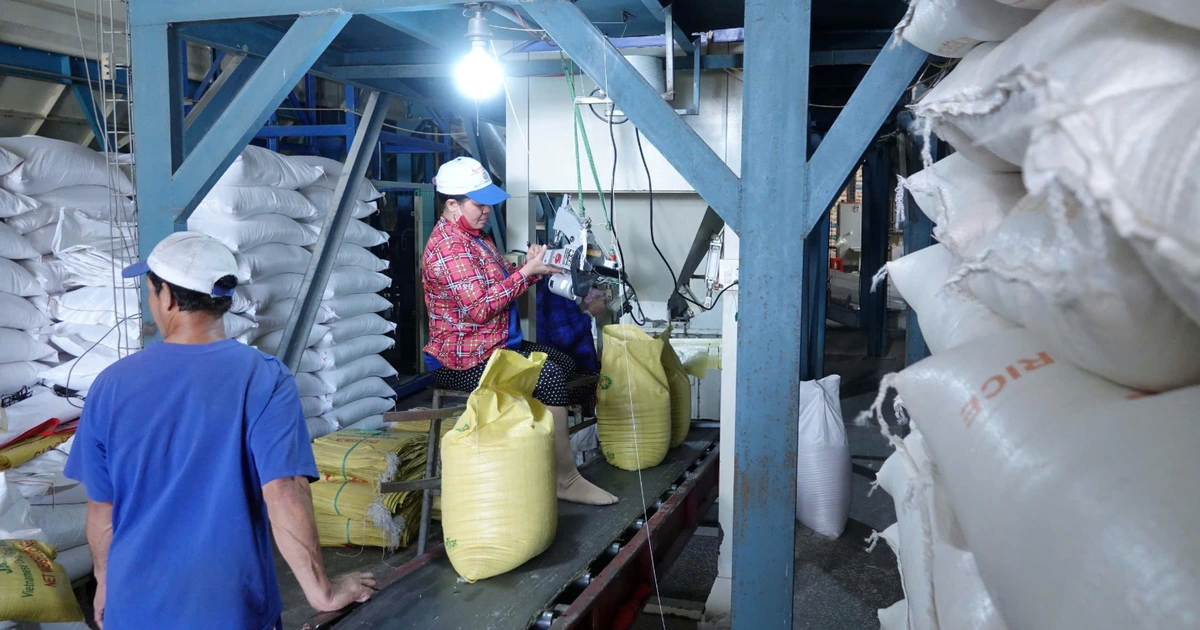 Doanh nghiệp gạo bị 'nợ' hoàn thuế VAT cả trăm tỉ đồng