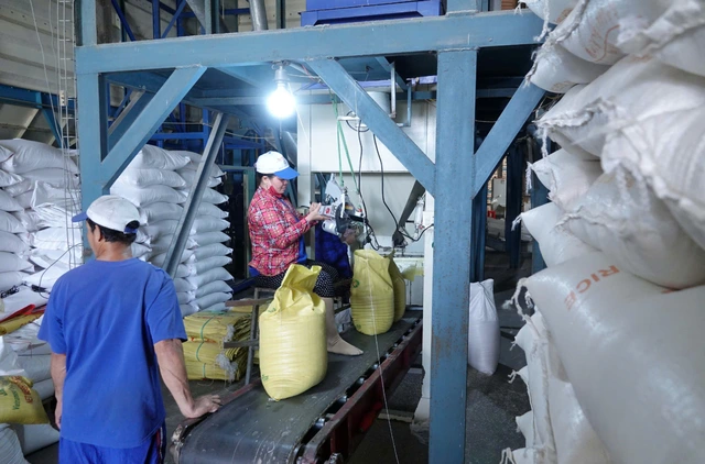 Doanh nghiệp gạo bị 'nợ' hoàn thuế VAT cả trăm tỉ đồng - Ảnh 1