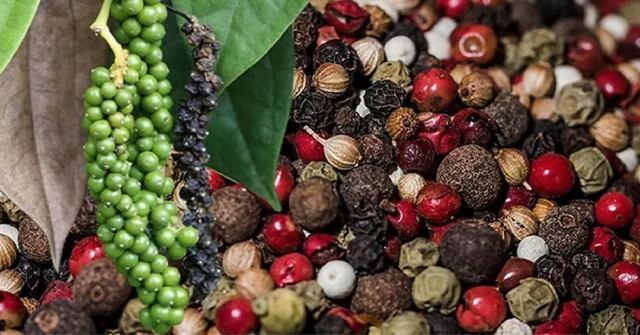 Thu 55 tỉ, hoàn tới 2.135 tỉ, đến lượt hồ tiêu kiến nghị bỏ thuế VAT - Ảnh 1