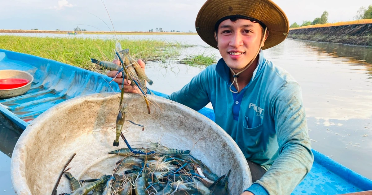 Lũ sông Mekong lên nhanh vì bão số 5