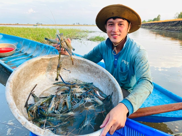 Lũ sông Mekong lên nhanh vì bão số 5 - Ảnh 1