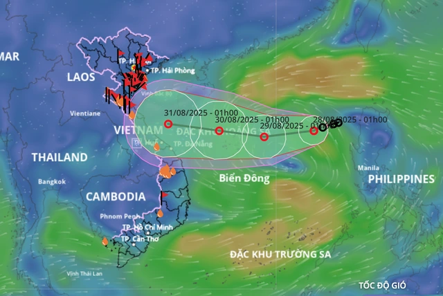Áp thấp nhiệt đới trên Biển Đông sắp tăng cấp - Ảnh 1