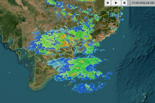 TP.HCM đang mưa như trút nước - Ảnh 3