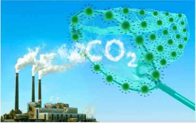 Việt Nam bước vào thị trường tỉ USD - tín chỉ carbon xe điện - Ảnh 3