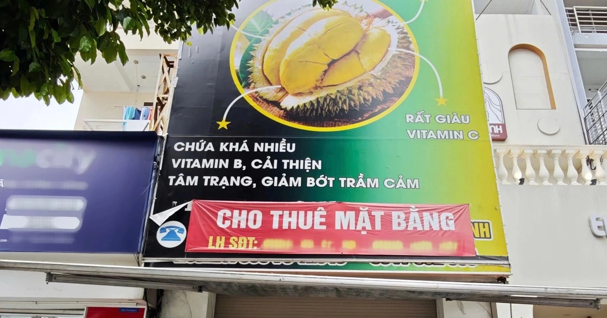 Cá nhân cho thuê nhà nộp thuế ra sao?