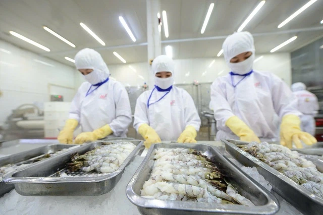 Doanh nghiệp thủy sản nêu hàng loạt bất cập về thuế giá trị gia tăng - Ảnh 1