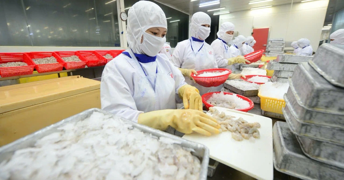 Xuất khẩu thủy sản có thể phải điều chỉnh kim ngạch do chính sách thuế của Mỹ