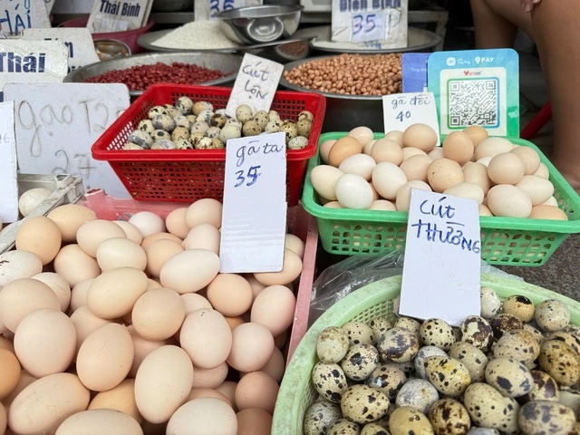 Trứng gà bất ngờ tăng giá cao kỷ lục - Ảnh 1