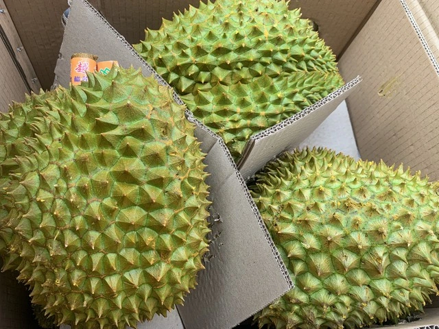 Sầu riêng tươi xuất khẩu được 'quản' bằng cơ chế kiểm soát riêng - Ảnh 1