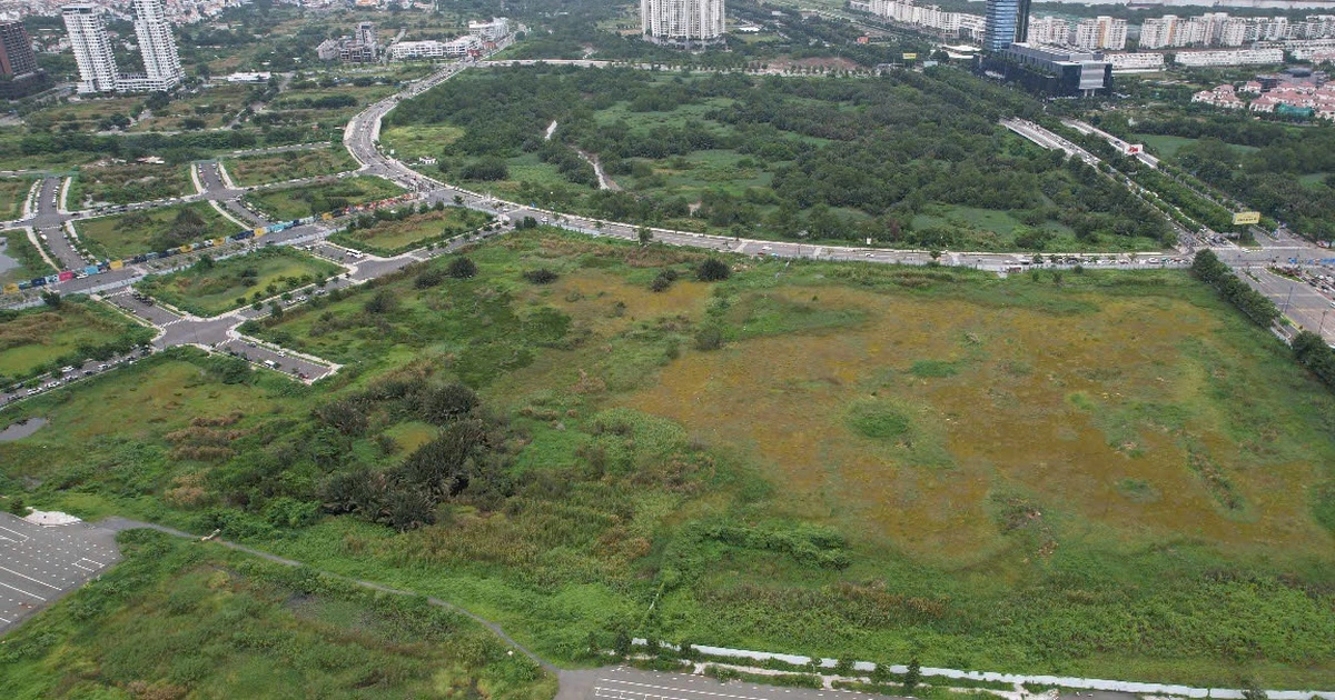 TP.HCM dự kiến thu 86.300 tỉ đồng tiền sử dụng đất trong năm 2025