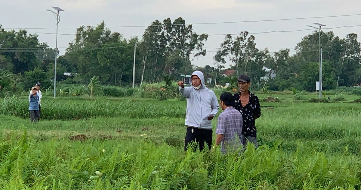 Gia Lai họp bàn đẩy nhanh hai đại dự án đi qua địa bàn tỉnh