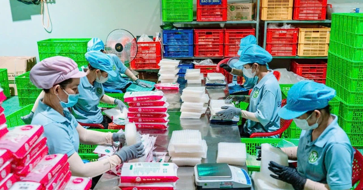 Một thương hiệu bánh tráng Việt xuất khẩu 9 tấn mỗi tháng sang Hàn Quốc