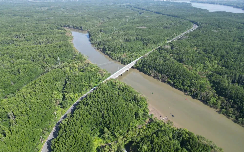 3 năm nữa từ TP.HCM đi Cần Giờ chỉ mất 15 phút, nhanh hơn ra sân bay, không bao giờ lo tắc đường - Ảnh 3