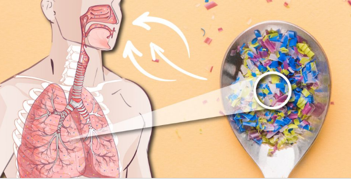 Con người có thể hít tới 68.000 hạt vi nhựa mỗi ngày - Ảnh 2