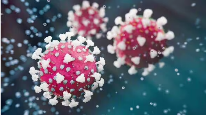 WHO cảnh báo "bệnh chảy máu mắt" lan rộng tại châu Phi - Ảnh 2