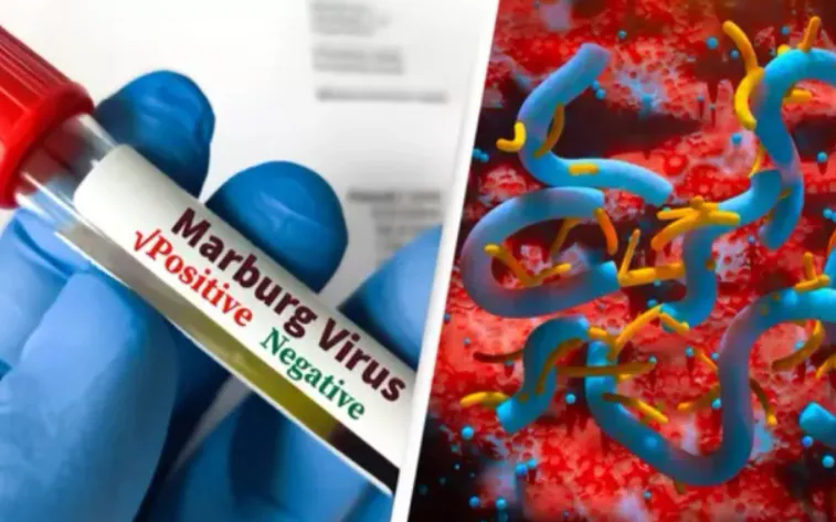 WHO cảnh báo "bệnh chảy máu mắt" lan rộng tại châu Phi - Ảnh 1