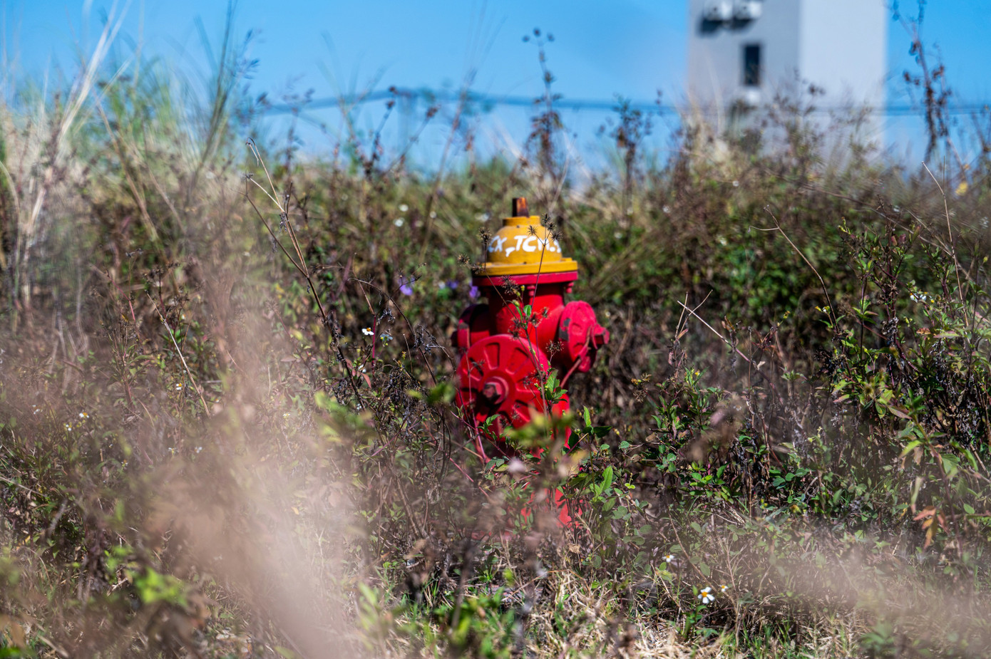 Ra tối hậu thư những dự án ‘đắp chiếu’ của Công ty CP Xây dựng công trình 507 ở Quảng Ninh - Ảnh 5