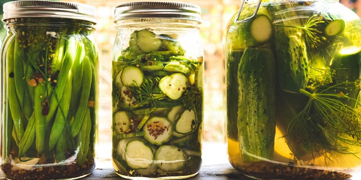 Dưa muối từng giúp những người Mỹ đầu tiên sống sót thế nào? - Ảnh 1