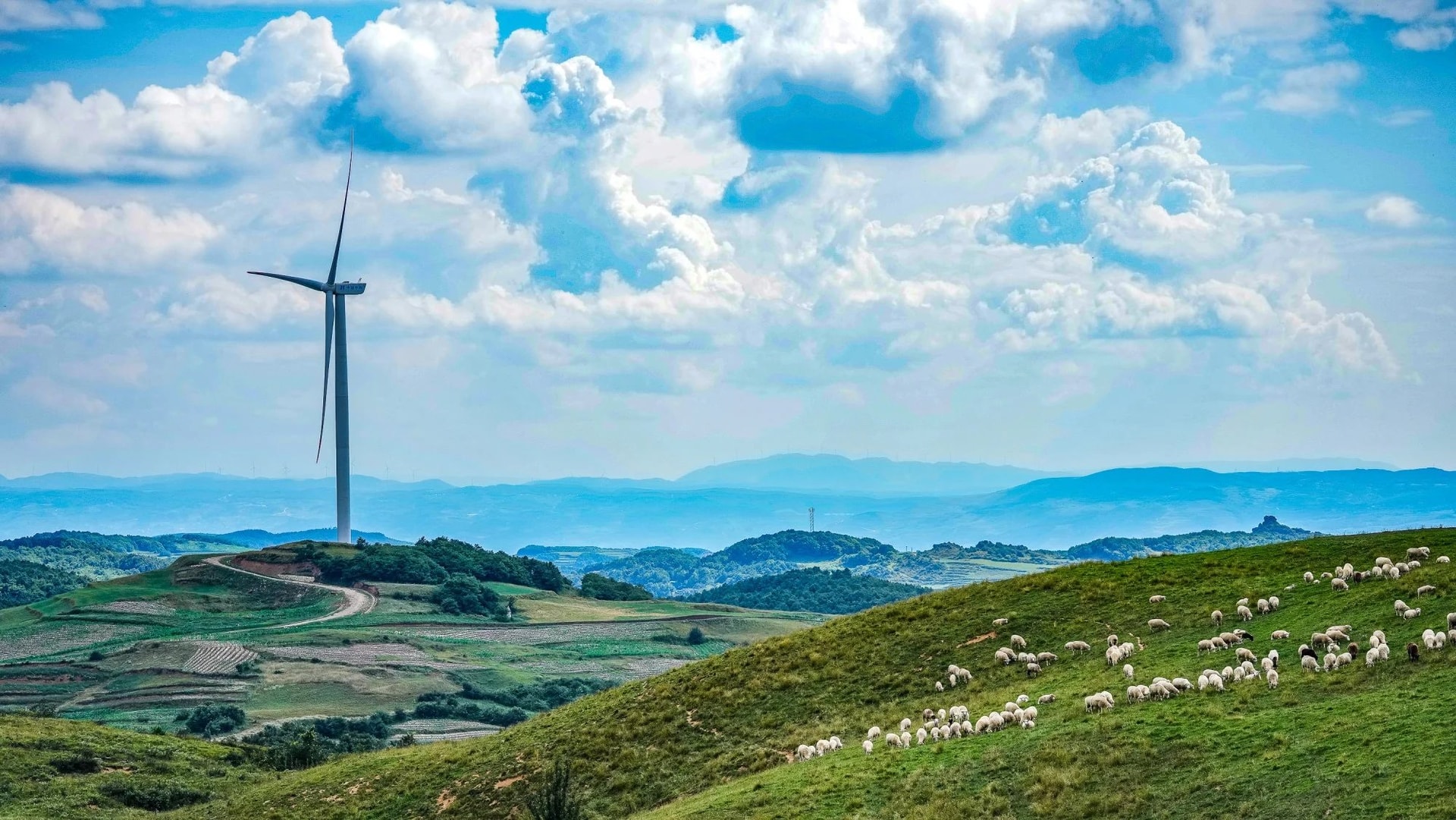 Chuyện khó tin ở Trung Quốc: Vốn là quốc gia ô nhiễm nhất thế giới, sao giờ "sạch" như không có gì xảy ra? - Ảnh 4