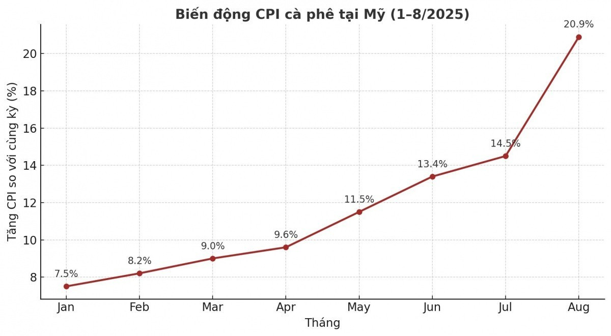 Giá cà phê tại Mỹ tăng mạnh, cơ hội nào cho doanh nghiệp Việt? - Ảnh 1