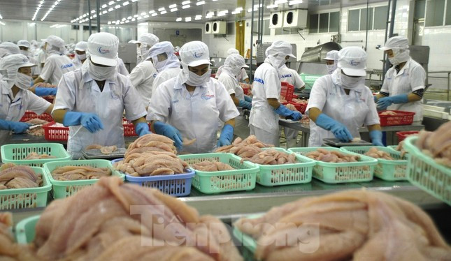 Các tổ chức quốc tế dự báo về tăng trưởng kinh tế Việt Nam - Ảnh 2