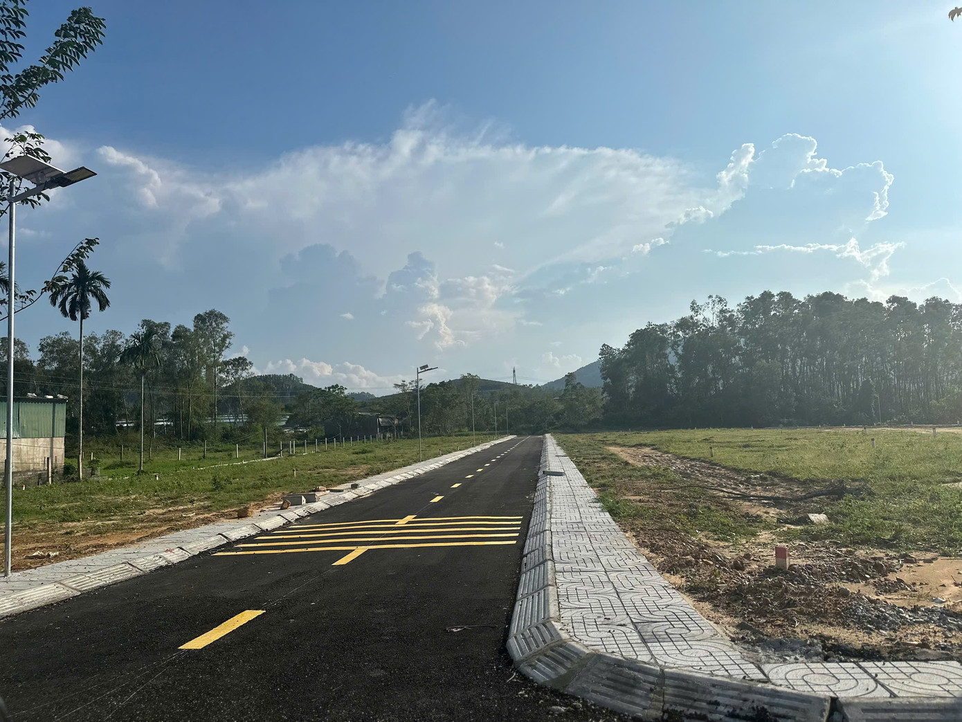 “Cò đất” lặng lẽ rời đi sau khi đổ về vùng quê khiến đất "sốt" lên từng ngày - Ảnh 3